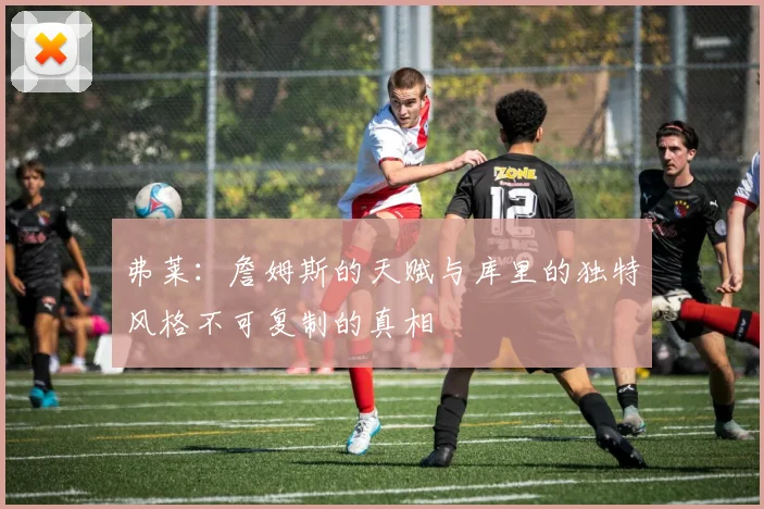 弗莱：詹姆斯的天赋与库里的独特风格不可复制的真相