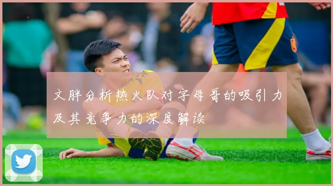 文胖分析热火队对字母哥的吸引力及其竞争力的深度解读